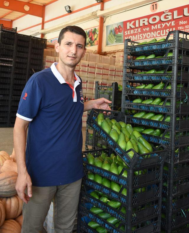 Alanya'dan Ukrayna'ya avokado ihracatı
