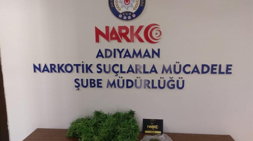 Saksıda yetiştirilen hint kenevirleri ele ge&ccedil;irildi