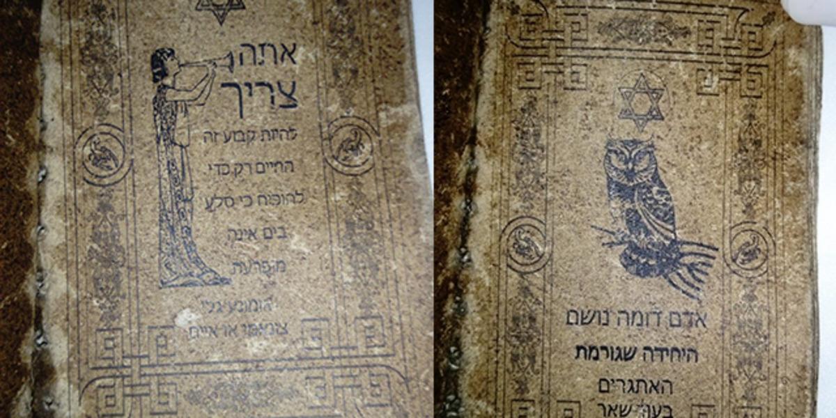 Değeri tam 5 milyon dolar! Malatya'da ele ge&ccedil;irildi: 5 bin yıllık