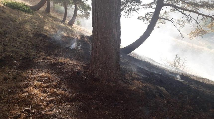 Orman yangını 3 saat sonunda s&ouml;nd&uuml;r&uuml;ld&uuml;
