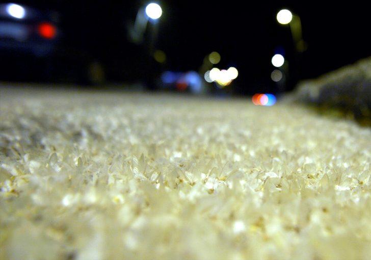 Ardahan'da binlerce beyaz kelebeğin ölüm uçuşu  G3