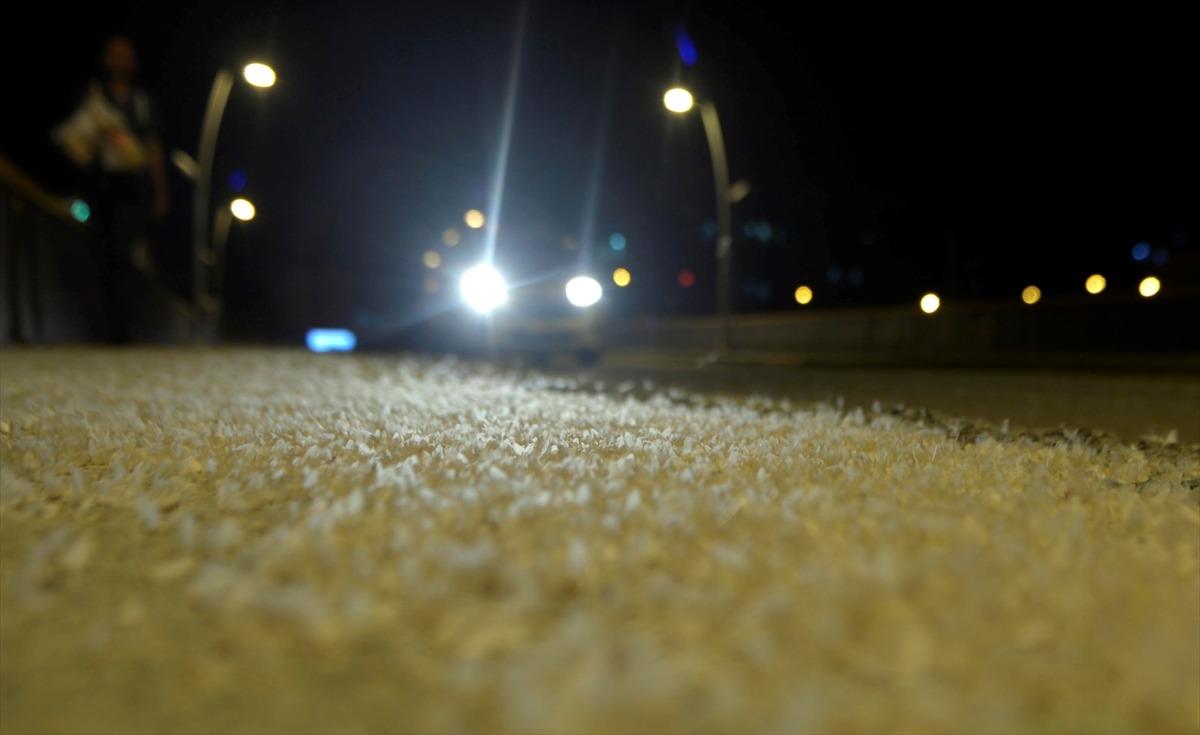 Ardahan'da binlerce beyaz kelebeğin &ouml;l&uuml;m u&ccedil;uşu 