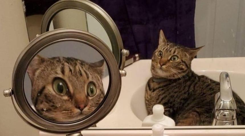 Bu fotoğraf sosyal medyayı salladı!