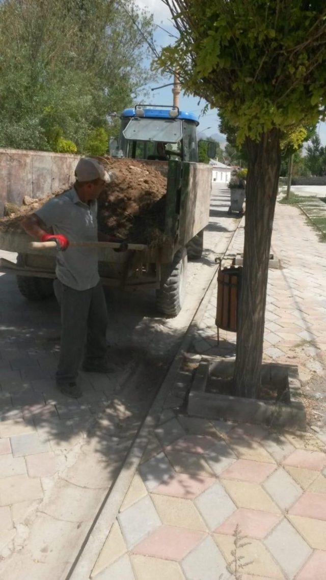 Gürpınar’da ağaç bakım çalışması