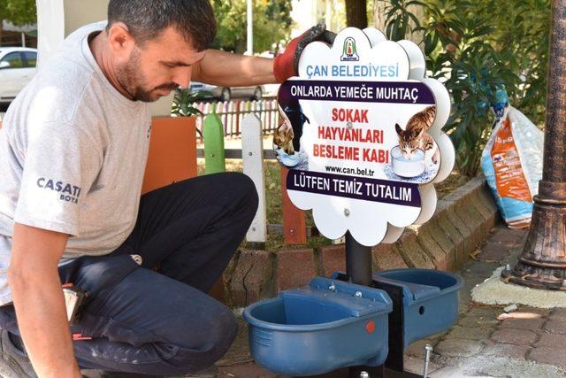 Çan Belediyesi’nden sokak hayvanları için duyarlı uygulama