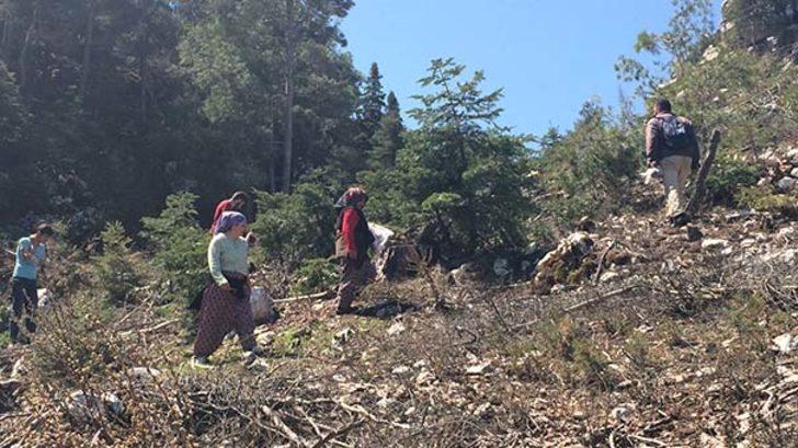 Antalya'da kuzugöbeği mantarı sezonu başladı G4