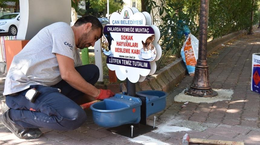 Sokak hayvanlarına beslenme kabı