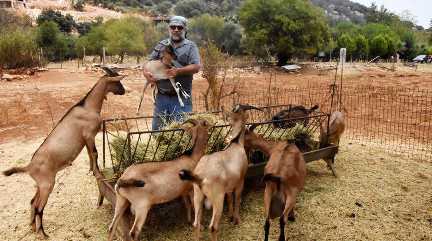 Doğadaki &ccedil;iftleşmeden&nbsp;yeni ke&ccedil;i ırkı