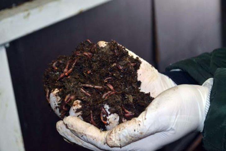 Okumaya gittiği Bulgaristan'da iş öğrendi G3