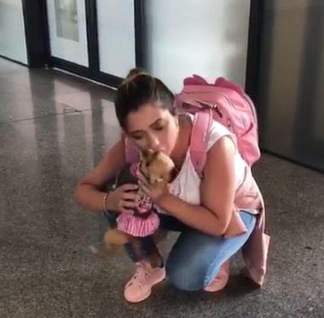 Sevimli köpek 'Barbie'den havalimanında gülümseten karşılama