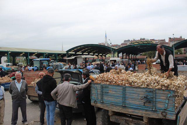 Taşköprü sarımsağı, üreticinin yüzünü güldürdü