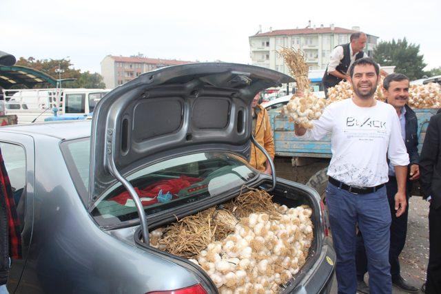 Taşköprü sarımsağı, üreticinin yüzünü güldürdü