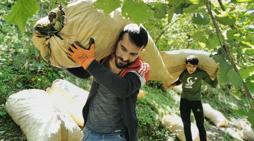Ziraat odalarından 'Emanete fındık bırakmayın' uyarısı