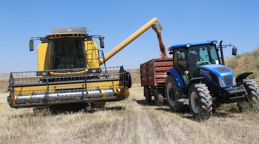 Kuraklık buğday verimini yüzde 60 düşürdü
