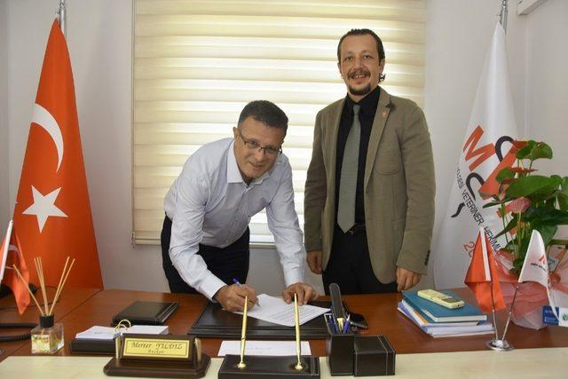 Alaşehir Belediyesi Manisa Veteriner Hekimler Odasıyla birlikte çalışacak