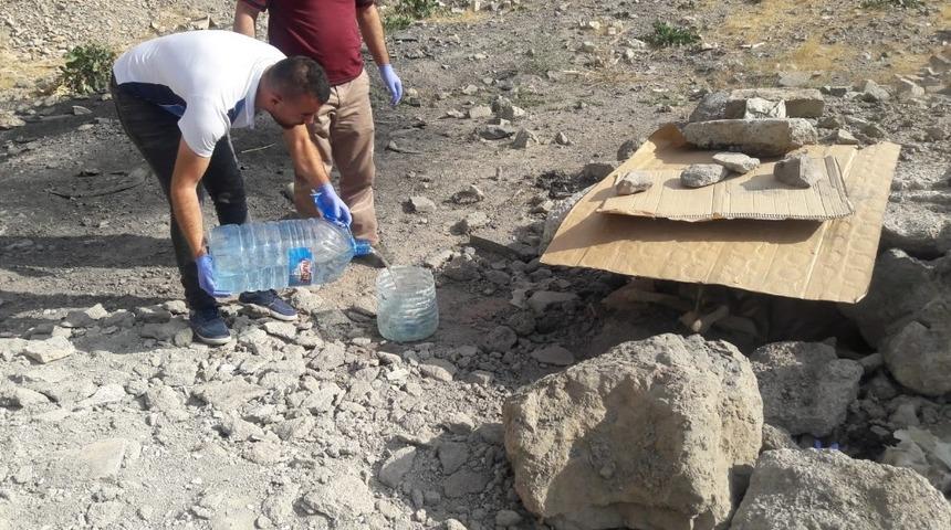 Hakkari&rsquo;de başıboş k&ouml;peklere yiyecek bırakıldı