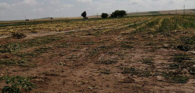 Niğde’de 20 dekarlık tarım arazisi doludan zarar gördü