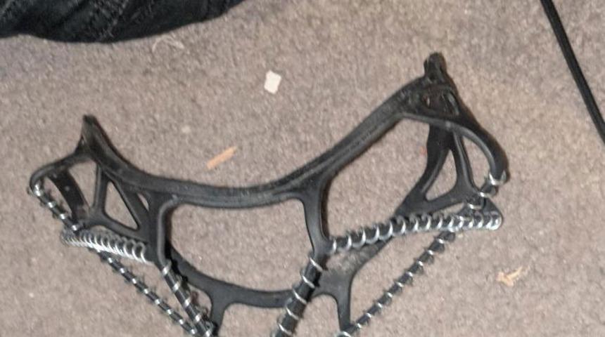 Yatak odasında buldu! Ne olduğunu öğrenince şoke oldu