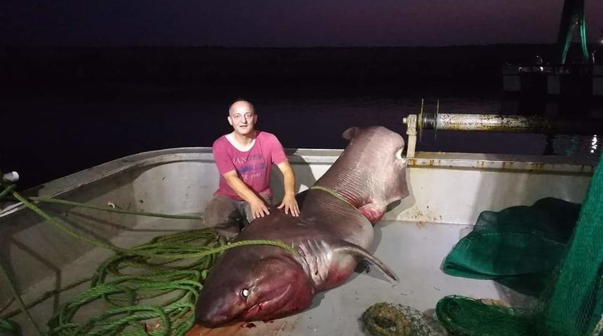 Balıkçı ağına 1 tonluk köpek balığı takıldı