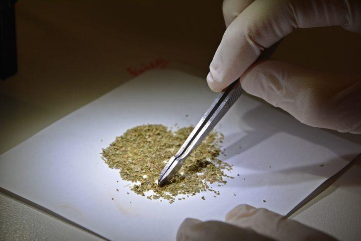 Bitki Ã§aylarÄ±nda korkutan laboratuvar sonuÃ§larÄ±: BÃ¶cek parÃ§alarÄ±, kaÅ ve kirpik bulundu