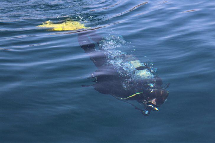 Van Gölü’nde Urartu izleri G2