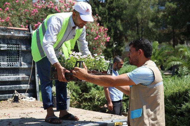 Haliliye’de parklar güzelleşiyor