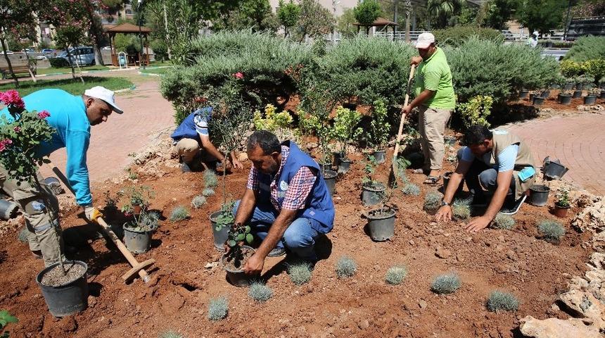 Haliliye&rsquo;de parklar g&uuml;zelleşiyor