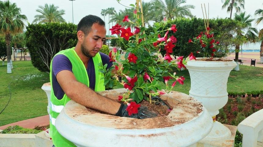Mersin&rsquo;de mevsimlik &ccedil;i&ccedil;ek dikimi tamamlandı