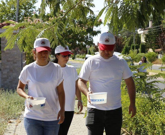 Döşemealtı’nın her bir köşesine mama ve su kabı bırakıldı