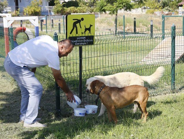 Döşemealtı’nın her bir köşesine mama ve su kabı bırakıldı