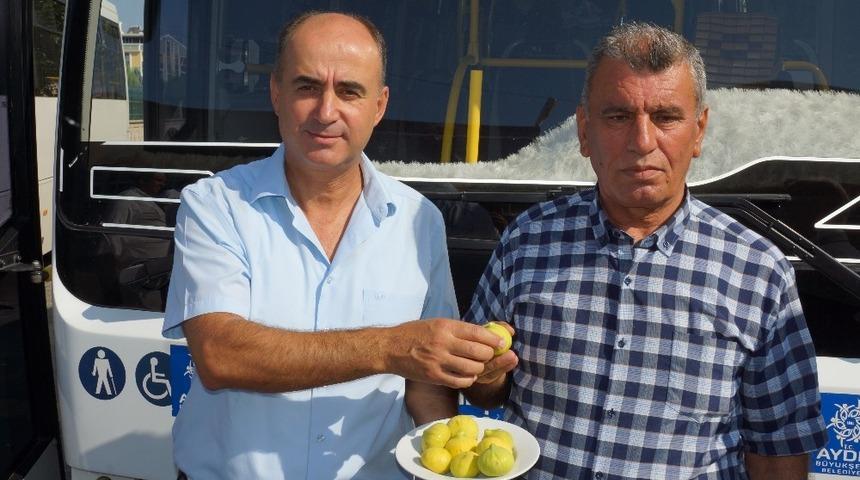 Aydınlı şoförler incir yiyerek stresle başa çıkıyor