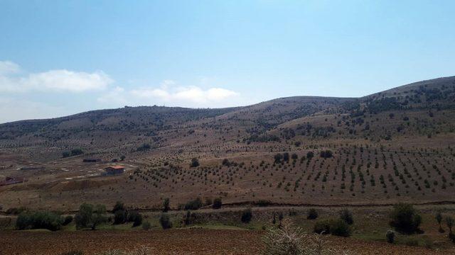 Kayseri Orman Bölge Müdürü Diltemiz Yozgat’ta