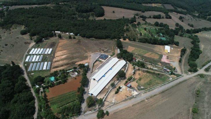 Pendik Belediyesi, yatırım değeri yüksek iki adet tarımsal arsayı satışa çıkardı G2