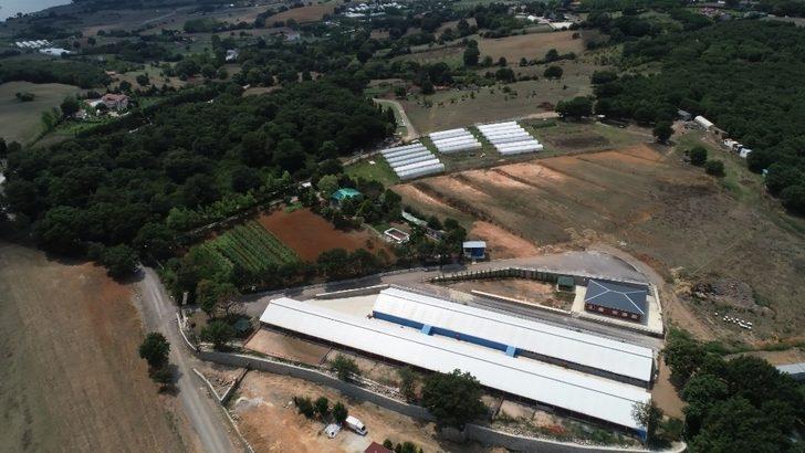 Pendik Belediyesi, yatırım değeri yüksek iki adet tarımsal arsayı satışa çıkardı G4