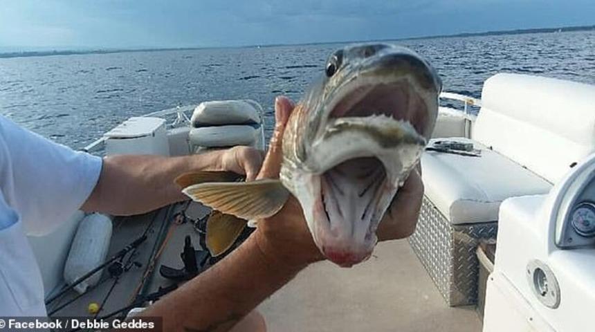 Denizden &ccedil;ıktı! İki ağzı var
