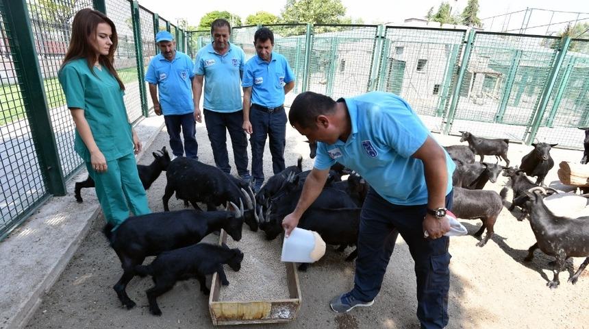 B&uuml;y&uuml;kşehir Belediyesi personelini can ve mal g&uuml;venliği konusunda bilin&ccedil;lendiriyor