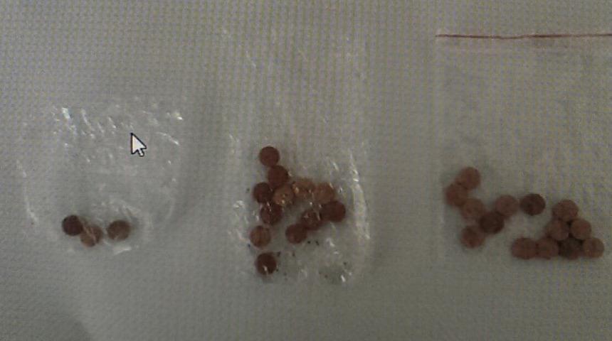 Nizip&rsquo;te 29 uyuşturucu hap ele ge&ccedil;irildi, 2 kişi g&ouml;zaltında