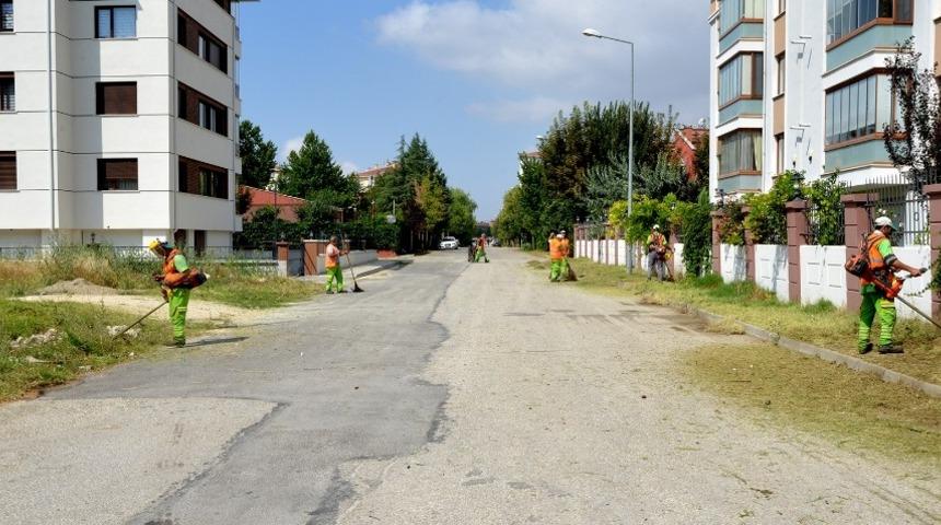 Tepebaşı’nda yabani ot temizliği sürüyor