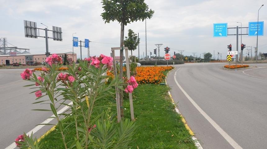 Suluova mevsim çiçekleriyle süslendi