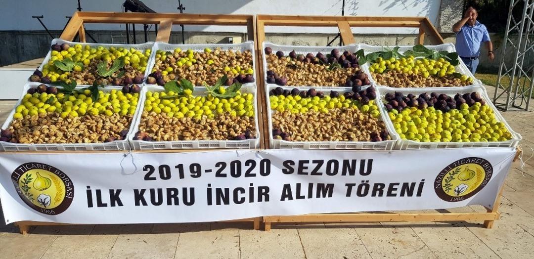 Nazilli&rsquo;de sezonun ilk inciri 250 TL&rsquo;den alıcı buldu