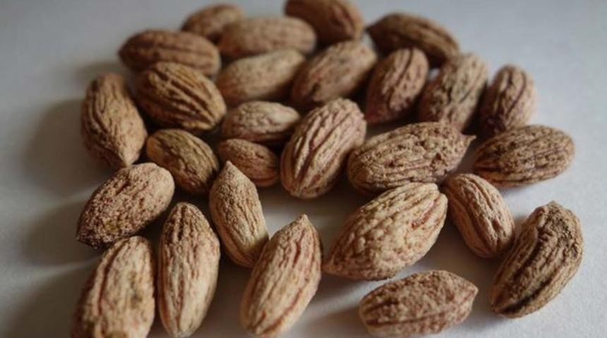 Uzmanlar ikiye ayrıldı: Zeytin &ccedil;ekirdeği yutmak faydalı mı yoksa zararlı mı?