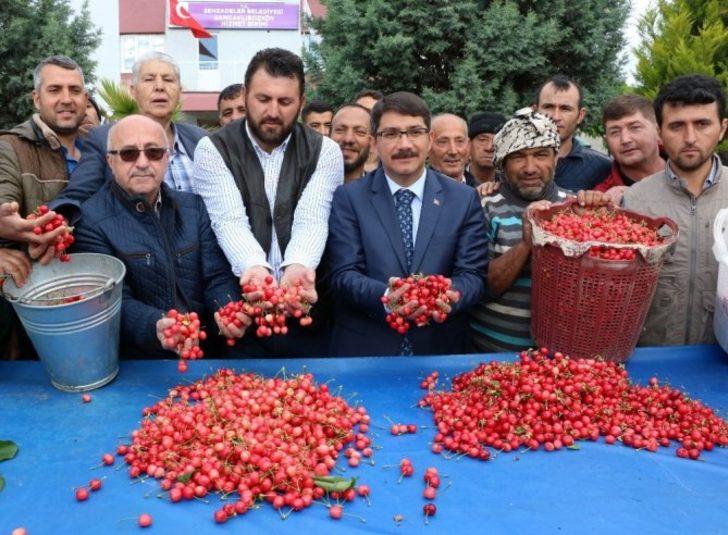 Sezonun ilk kirazı pazara çıktı G1