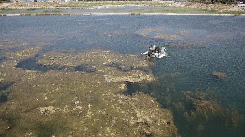 Boğa&ccedil;ayı&rsquo;ndaki sucul bitkiler makine ile temizleniyor