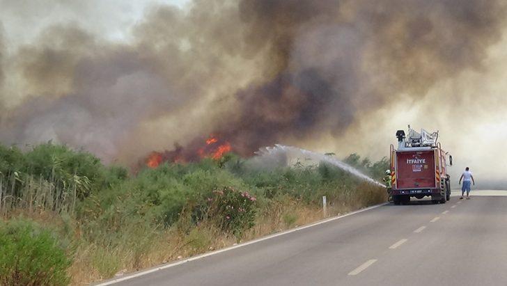 Edremit ve Marmaris'te orman yangını G1