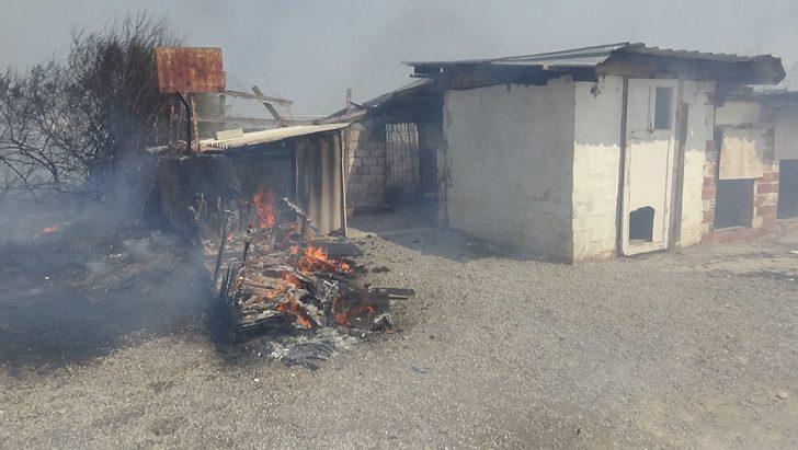 Edremit ve Marmaris'te orman yangını G3