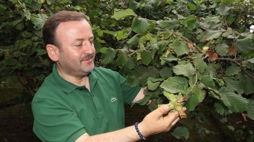 Milletvekili &Ouml;zt&uuml;rk: &ldquo;Fındık &uuml;reticisi memnun&rdquo;