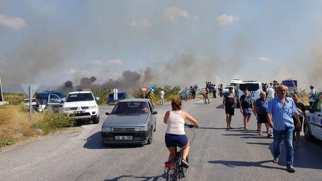 Edremit Körfezi'nde sazlık alanda yangın