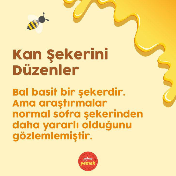 Balın Faydaları Nelerdir? G1