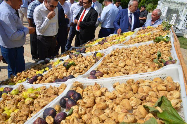Nazilli'de sezonun ilk kuru inciri kilosu 250 TL'den satıldı