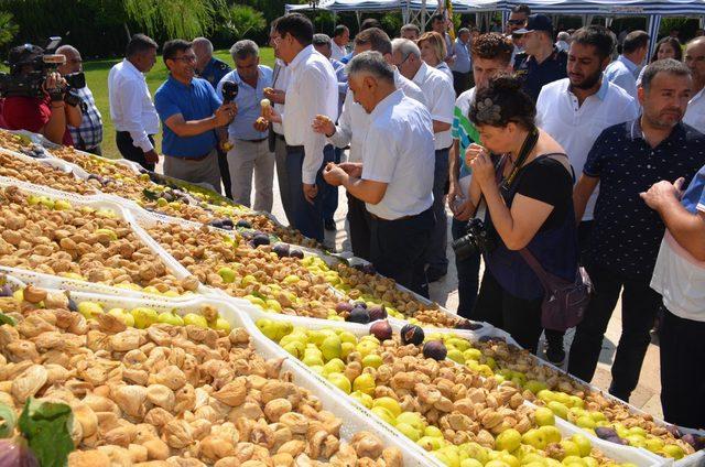 Nazilli'de sezonun ilk kuru inciri kilosu 250 TL'den satıldı Finans